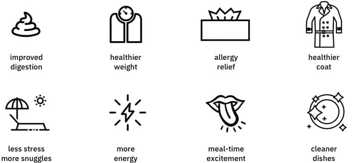 Improved digestion, healthier weight, allergy relief, healthier coat, less stress more snuggles, more energy, meal-time excitement, cleaner dishes
