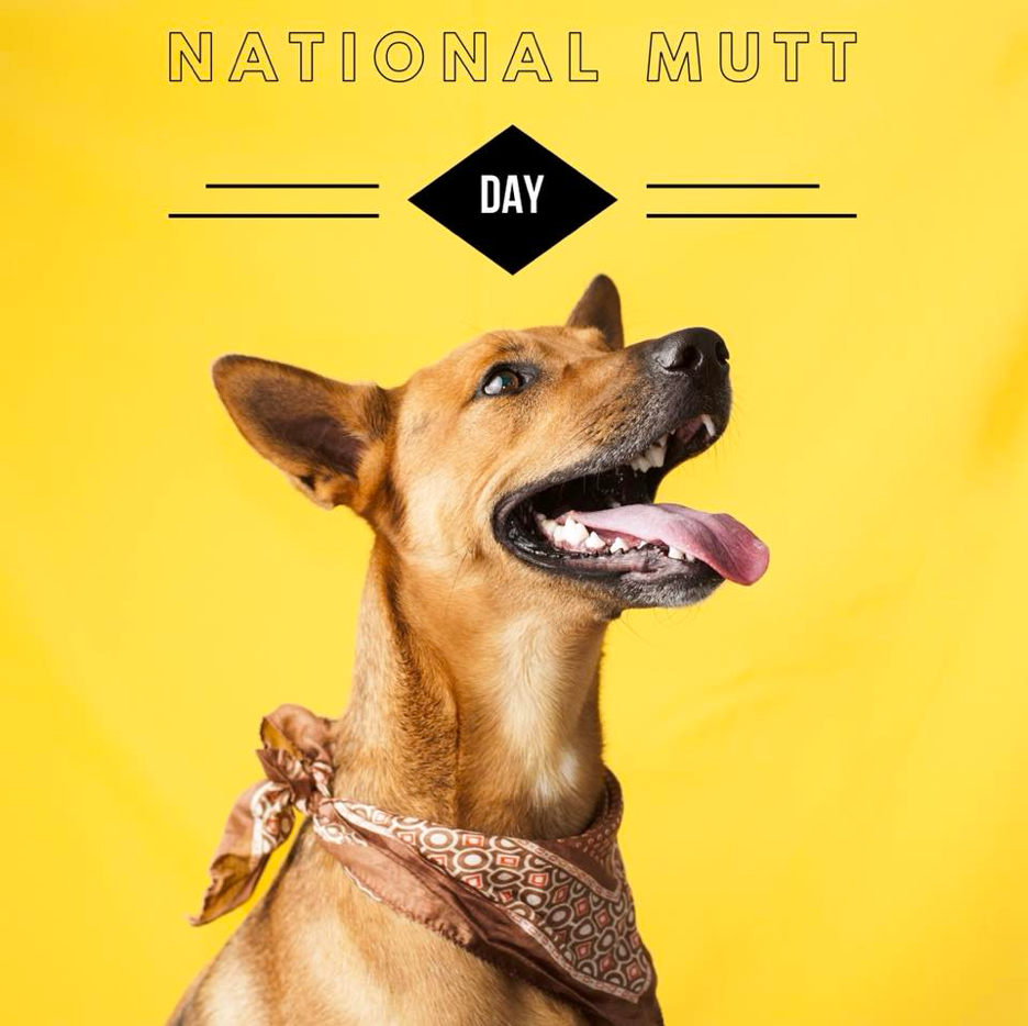 national mutt day