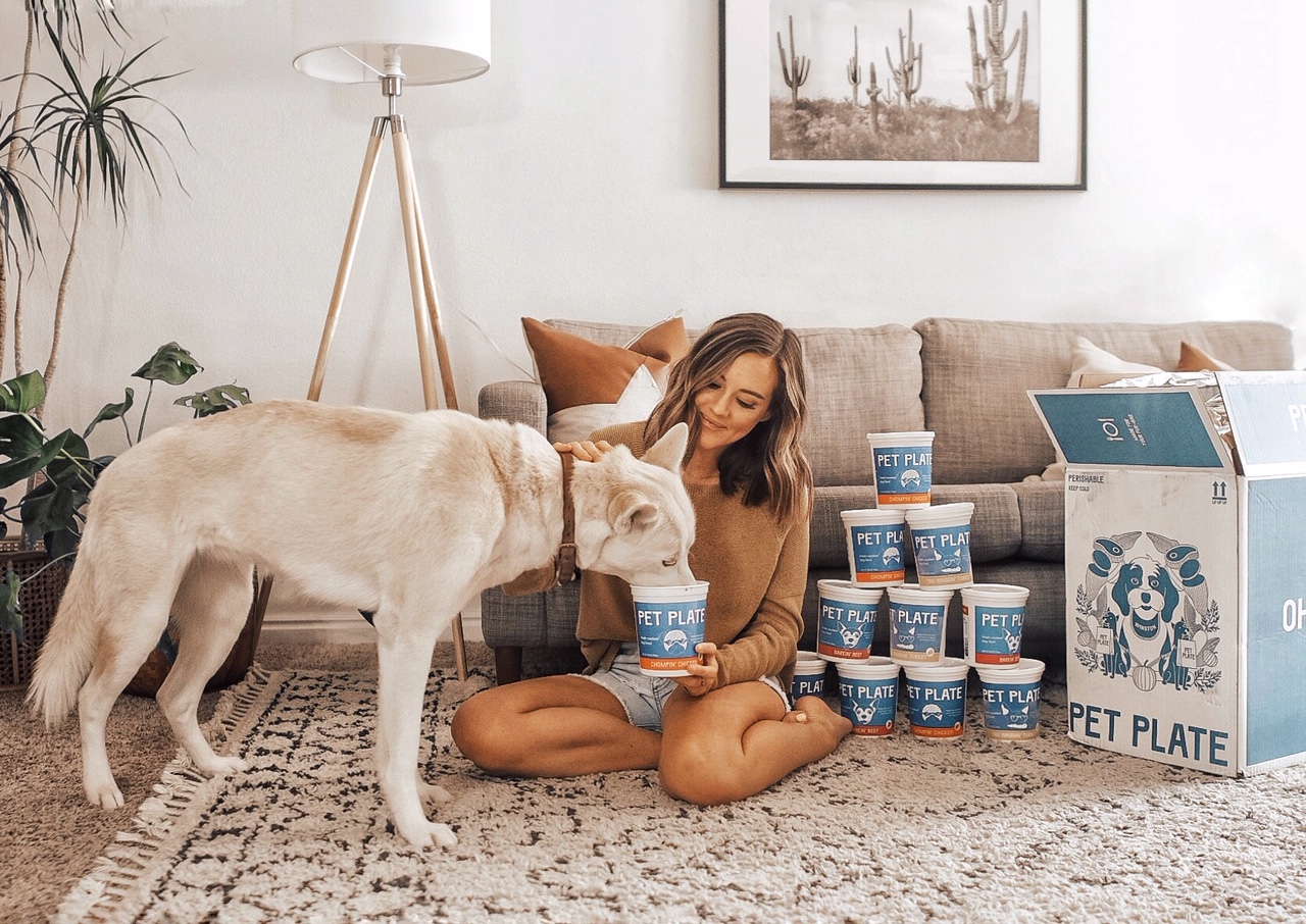 A pet parent feeding their pup Pet Plate