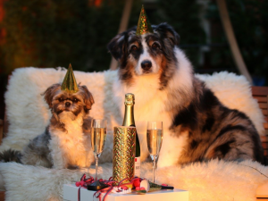 New Year, New Food