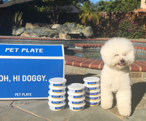 Doggy Spa Day Doggy Spa Day