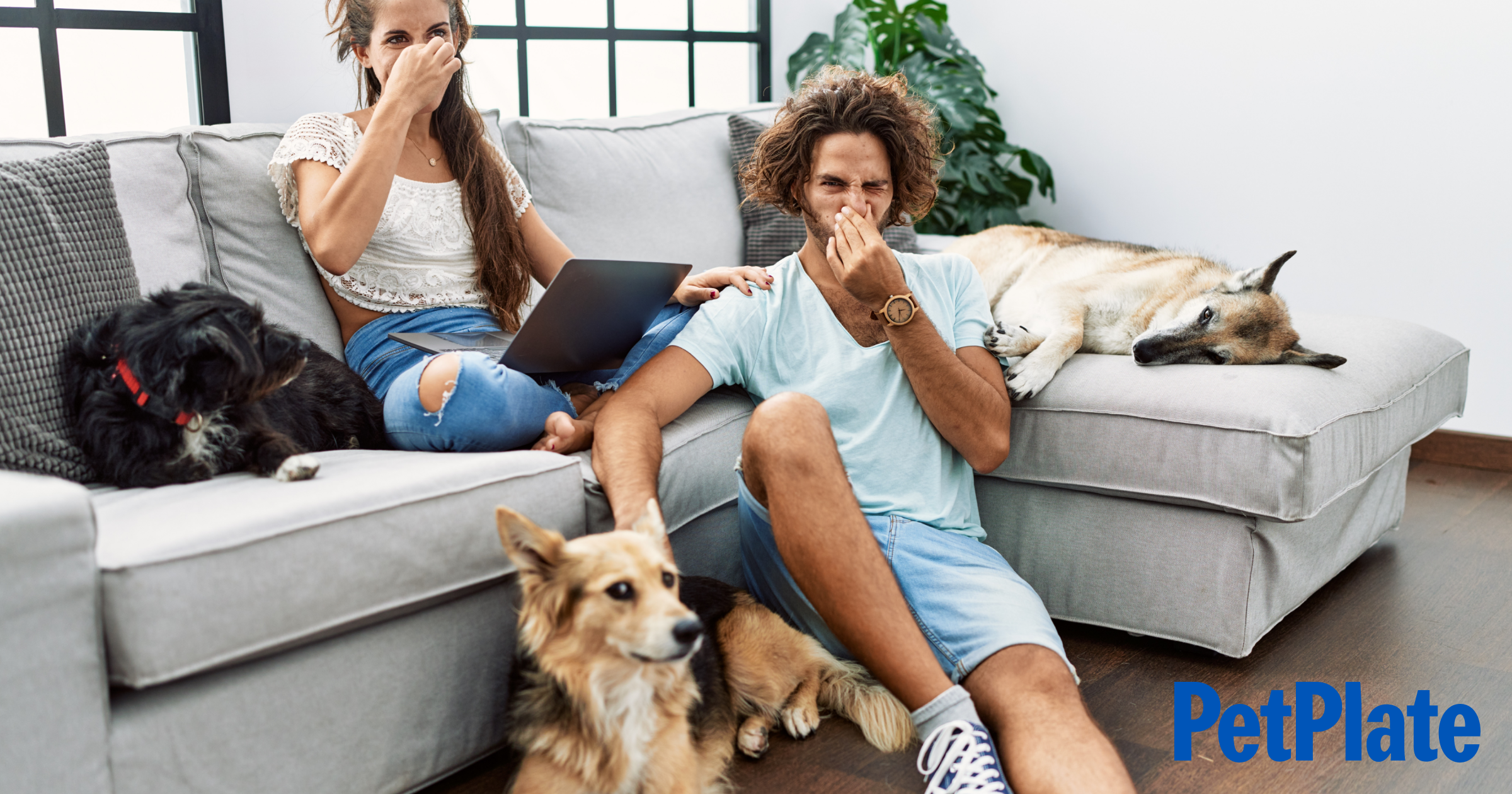 Blog What to Do When Your Dog Has Gas
