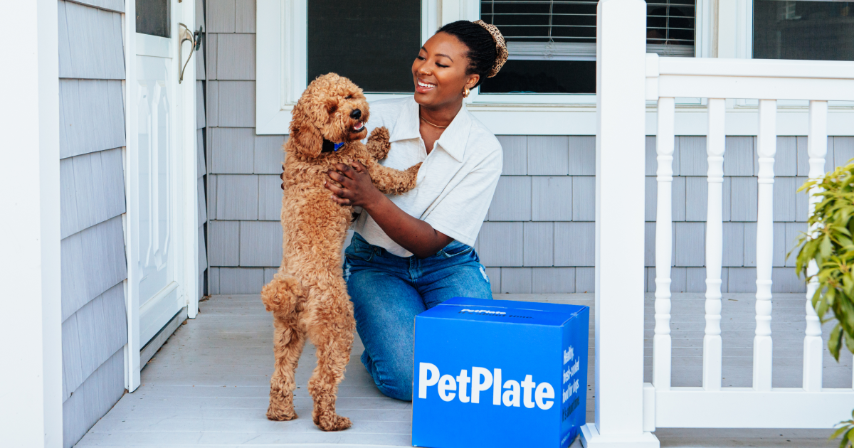 Can dog see color body Can dog see color body