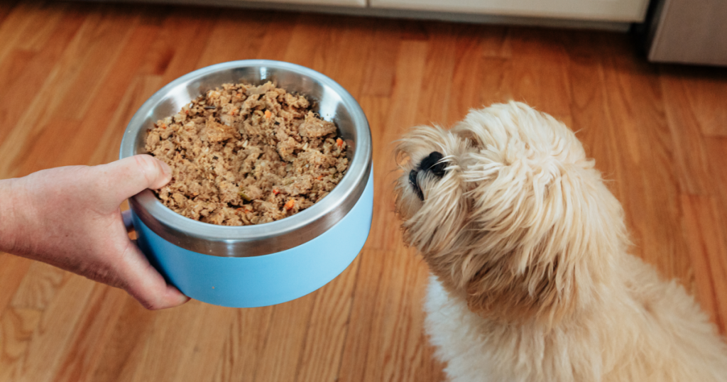 How Much to Feed a Puppy - Puppy Feeding Chart & Schedule | PetPlate