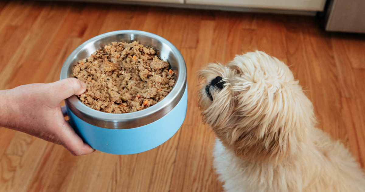 Dog Feeding Guide 1