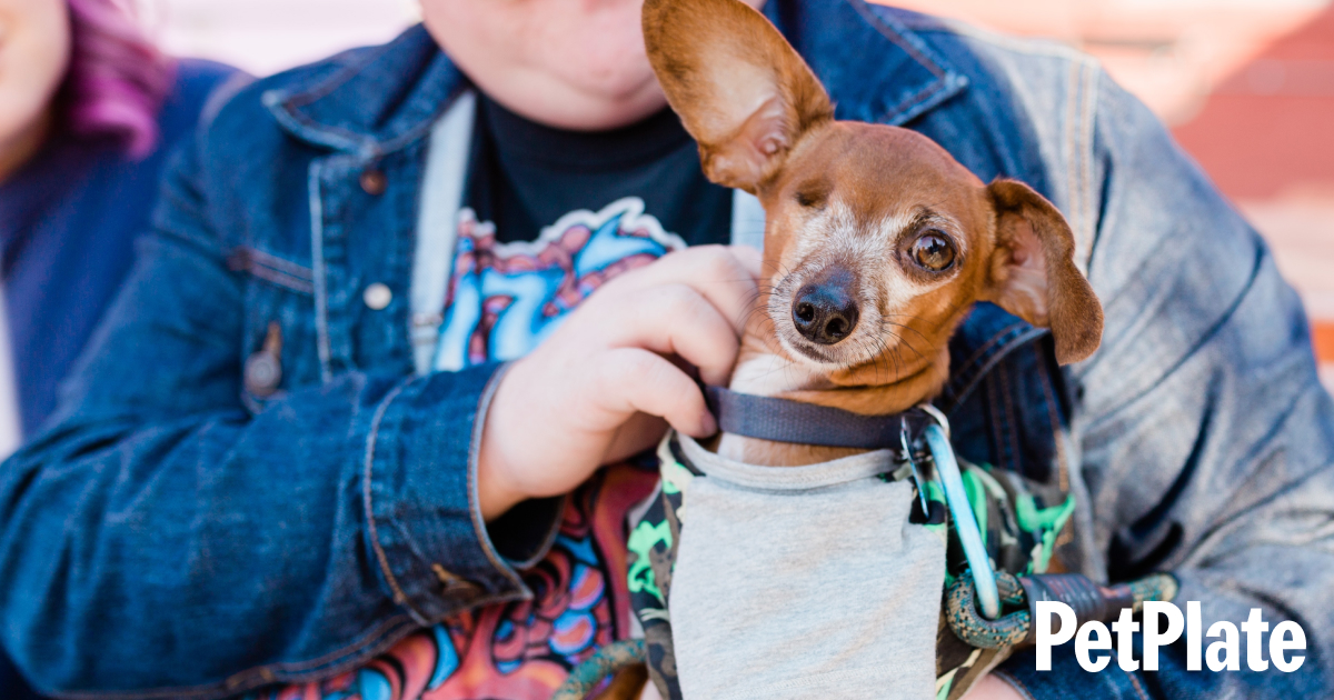 Blog Hero 1 Blog Hero 1