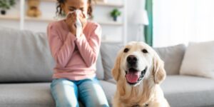 allergy (1) allergy (1)