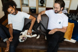 pet plate final nylonsaddle 511 pet plate final nylonsaddle 511