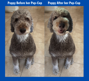 Poppy Before & After