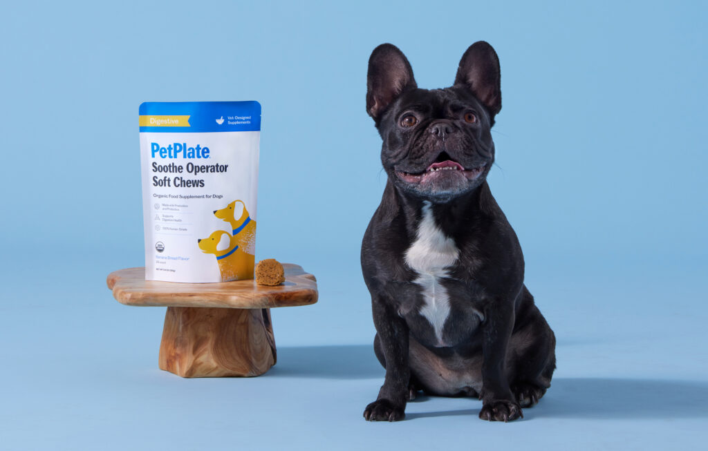 Dreamstate Digestive Lady2